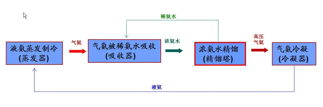 12.webp