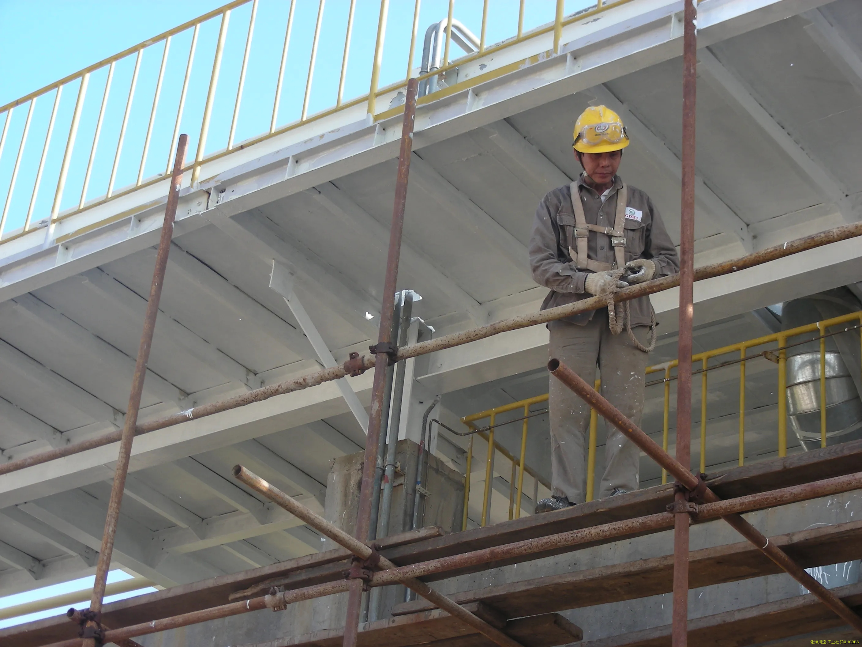 DSCN5589.webp