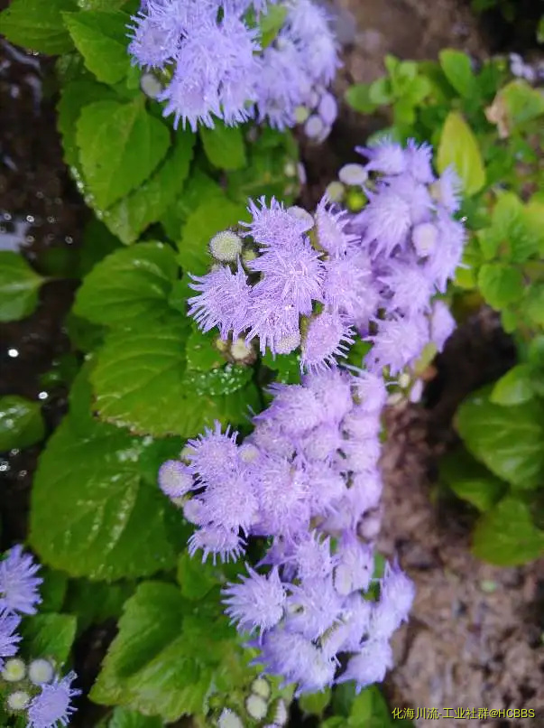 230007w9n511q49gs5f194.webp