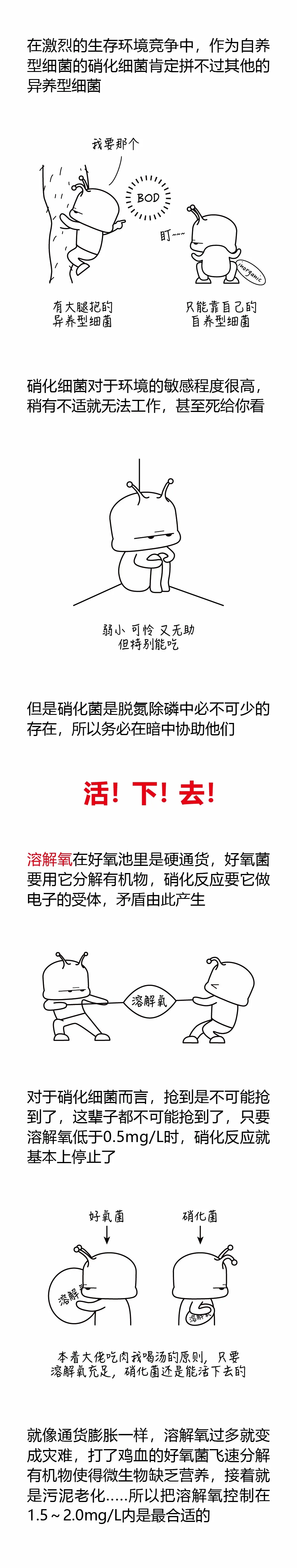1.webp