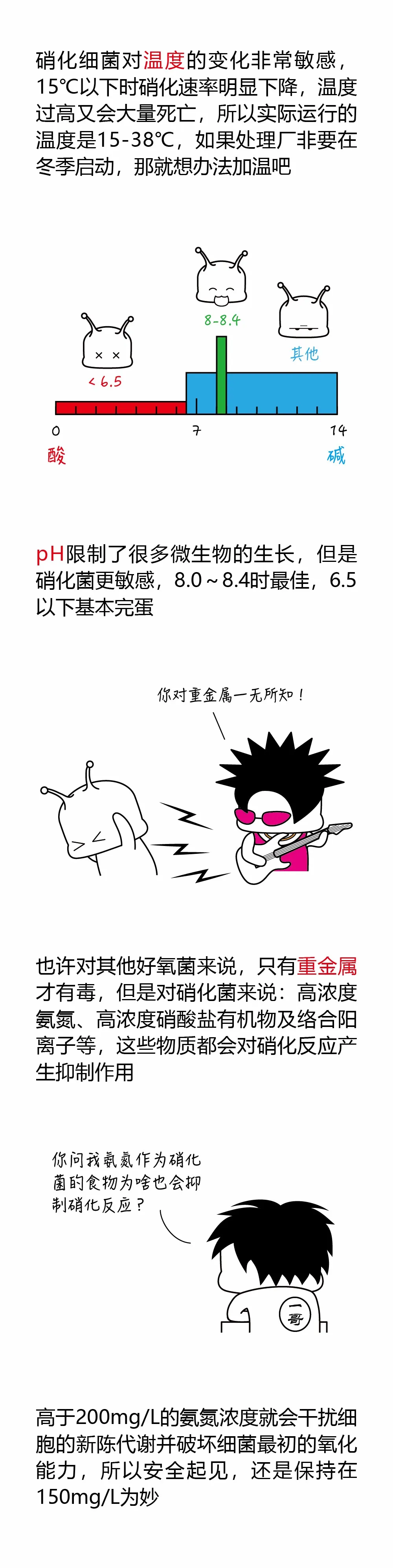 3.webp