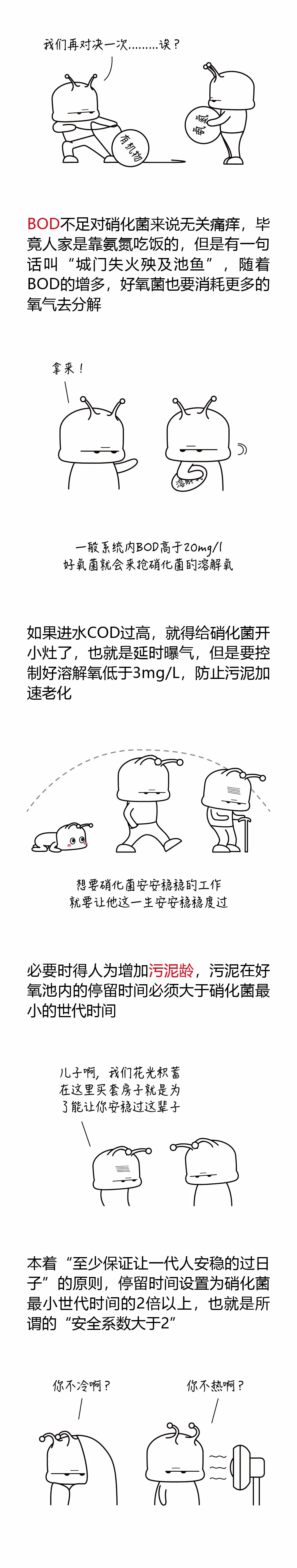 2.webp