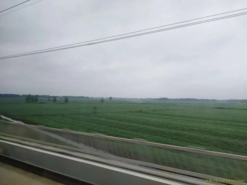 094708fuchuchu2z6ivc6l.webp