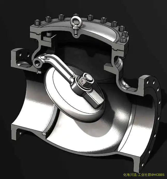 CHECK VALVE 1.webp