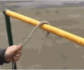 绳结1.gif