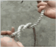 5.gif