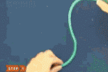 6.gif