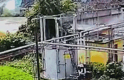 20180807_011326_480.gif