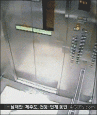 3.gif