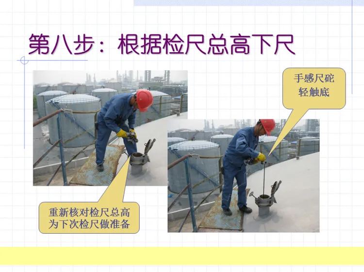 12.webp