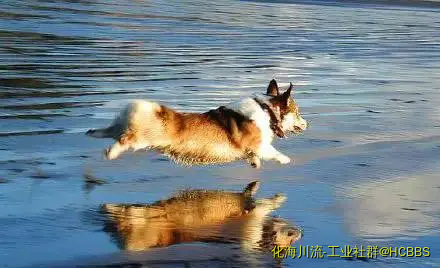 4e88ba24.webp
