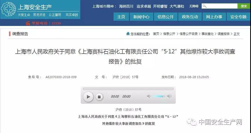 20180828 调查报告页面.webp