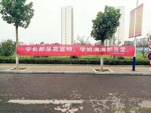 231432b761q98yunz003zn.jpg