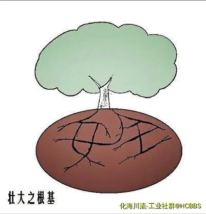 根基.webp