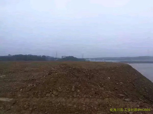 234941wpqeanqn5vh5xdhd.webp