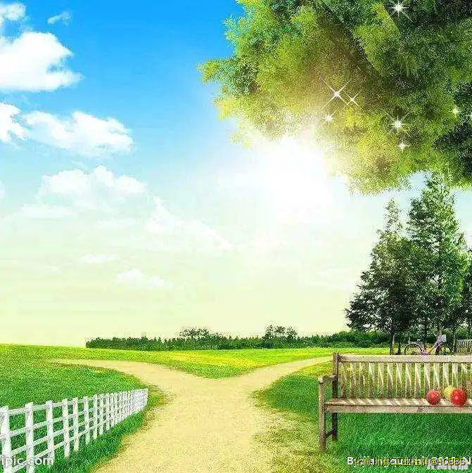 1234.webp
