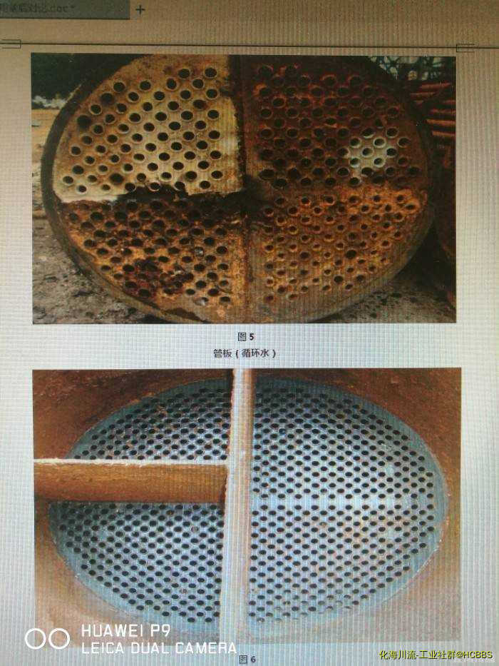 同一条件防腐与不防腐效果