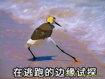 015429xlnnsnkl6lqvl98c.webp