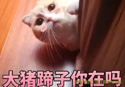 015554epp6d0w6qzpp30ps.webp
