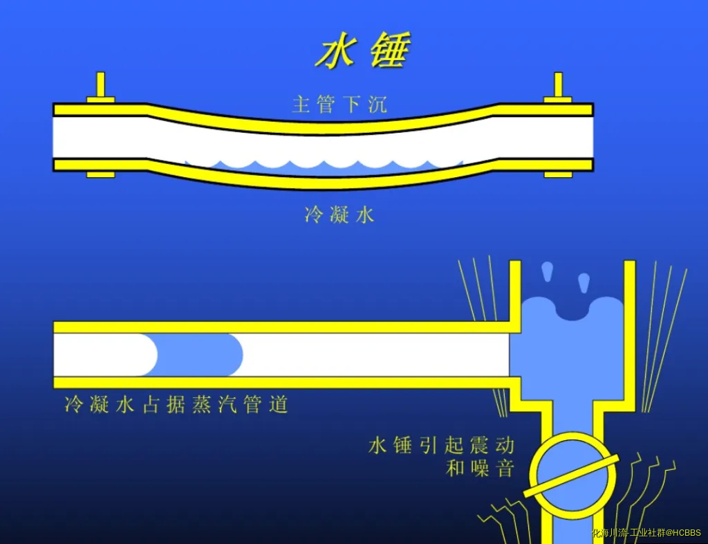14.webp