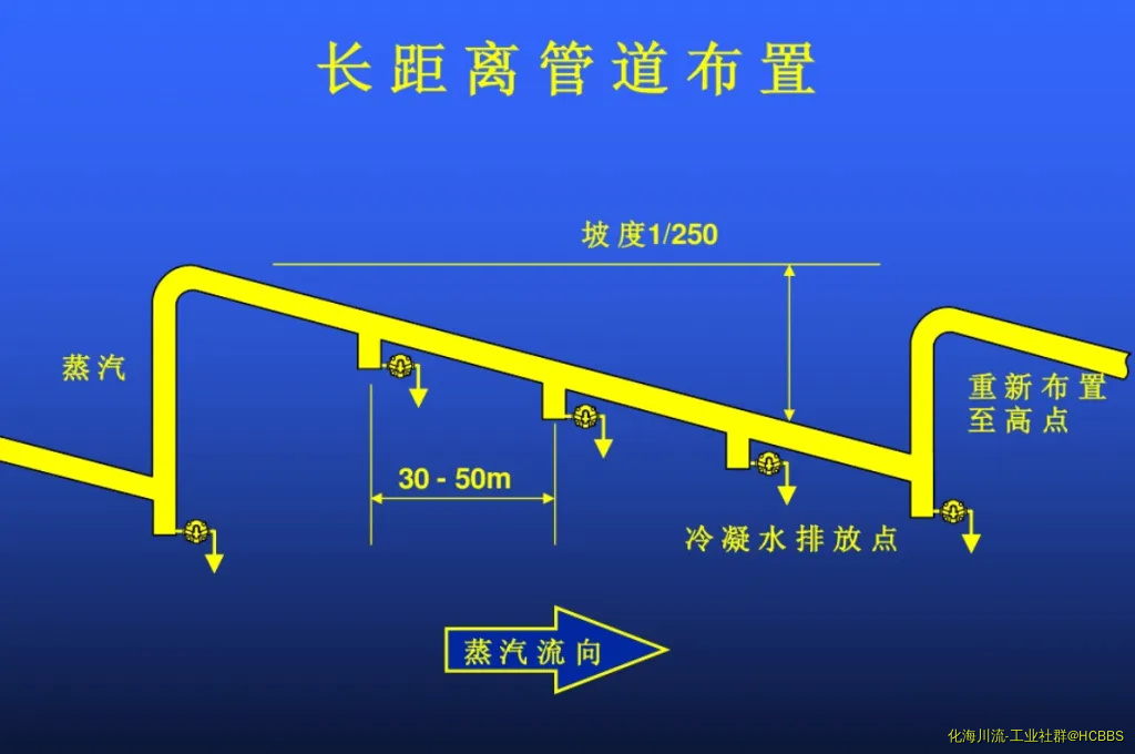 17.webp