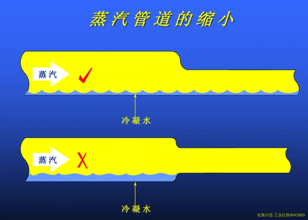 20.webp