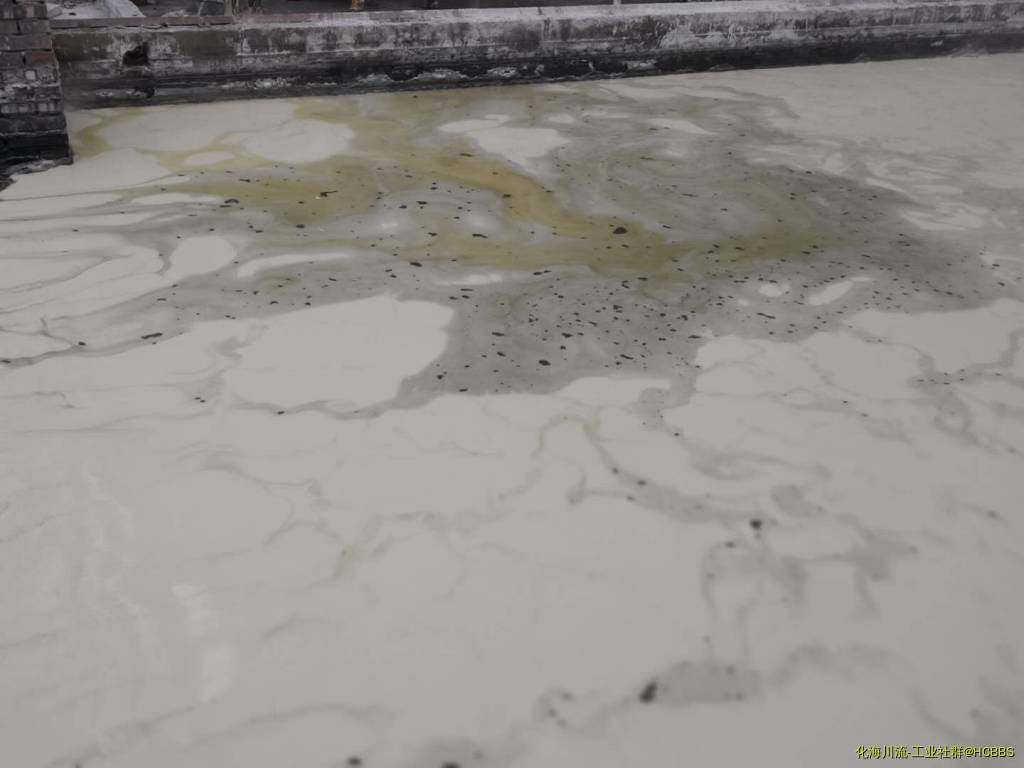 微信图片_20190124164949.jpg