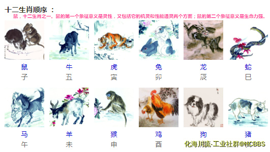十二生肖 - 鼠.png