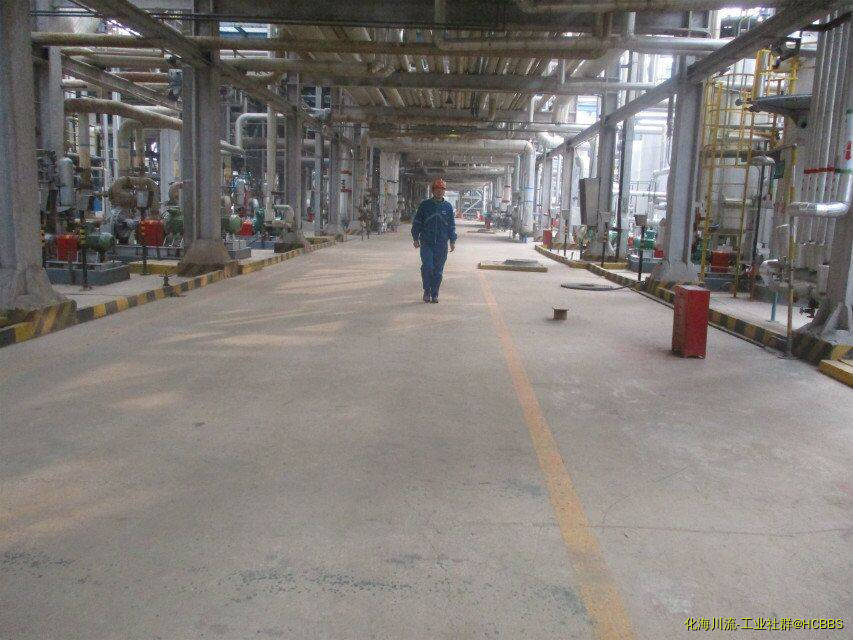 QQ图片20190227203853.jpg