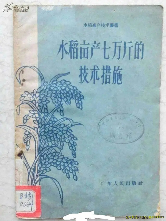 5c739b8da8893(1).webp