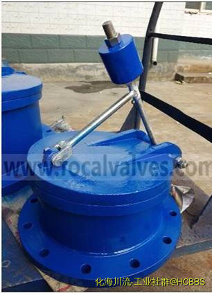 Flap Valve.jpg
