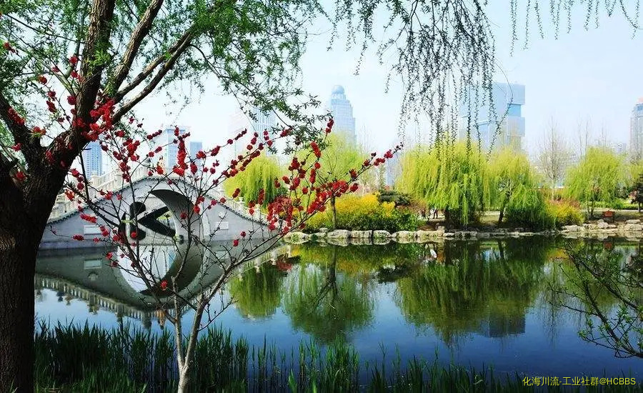 绝美.webp
