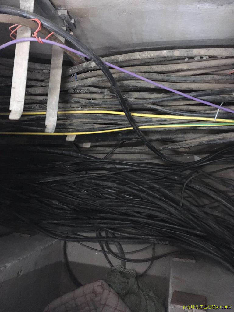 微信图片_20190426232653.jpg