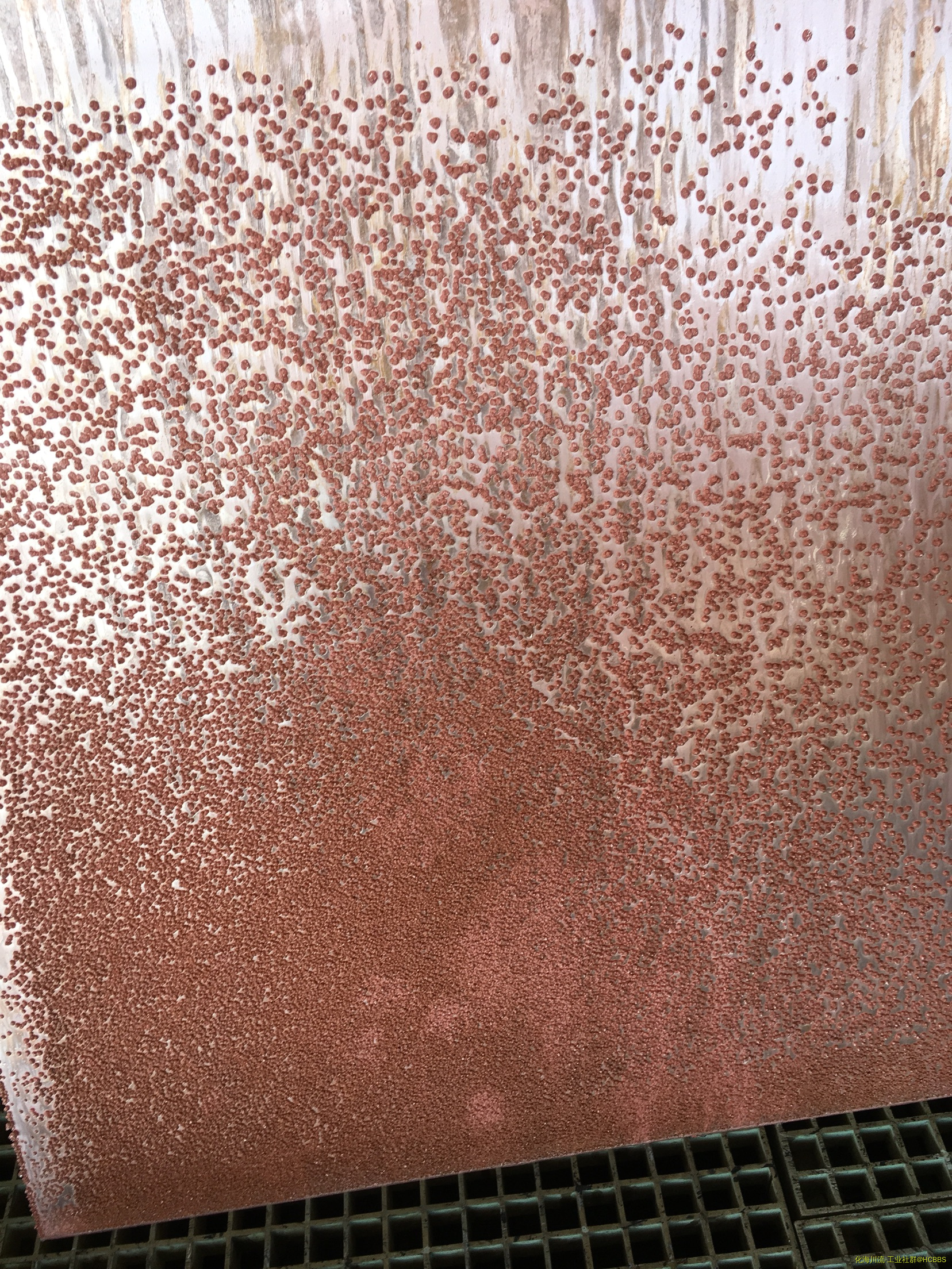 201905/01/21b7b518bb319f1c0b0a506318a6f5cf.jpg