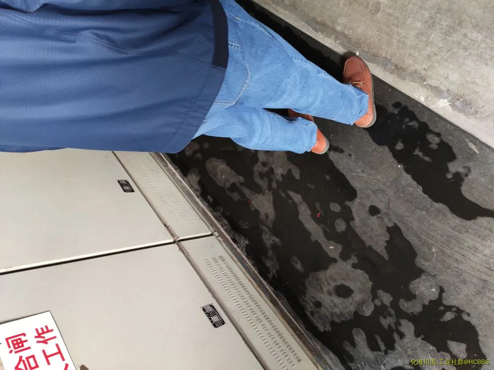 IMG_20190419_095153.webp