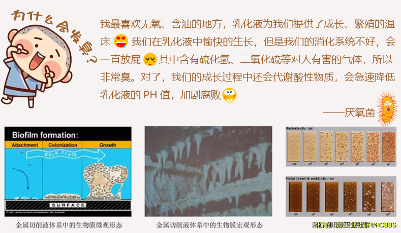 微信截图_20190702101823.png