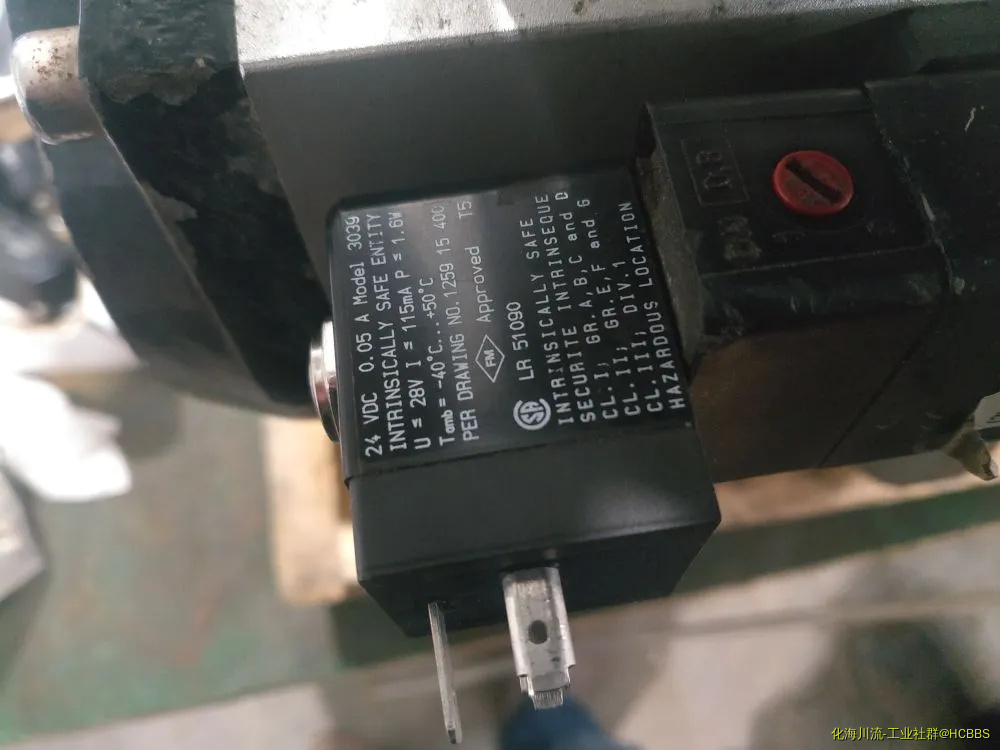 IMG_20191008_155031.webp