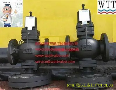 瓦特DN40 PRV2000先导隔膜式减压稳压阀7.webp
