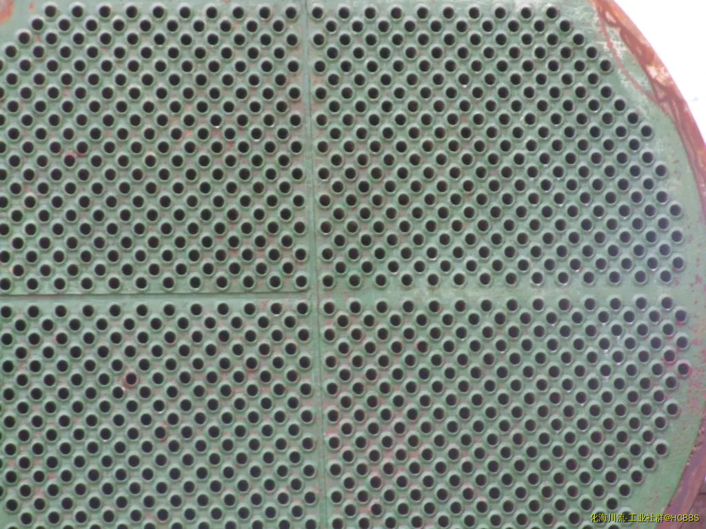 DSCF5164.webp