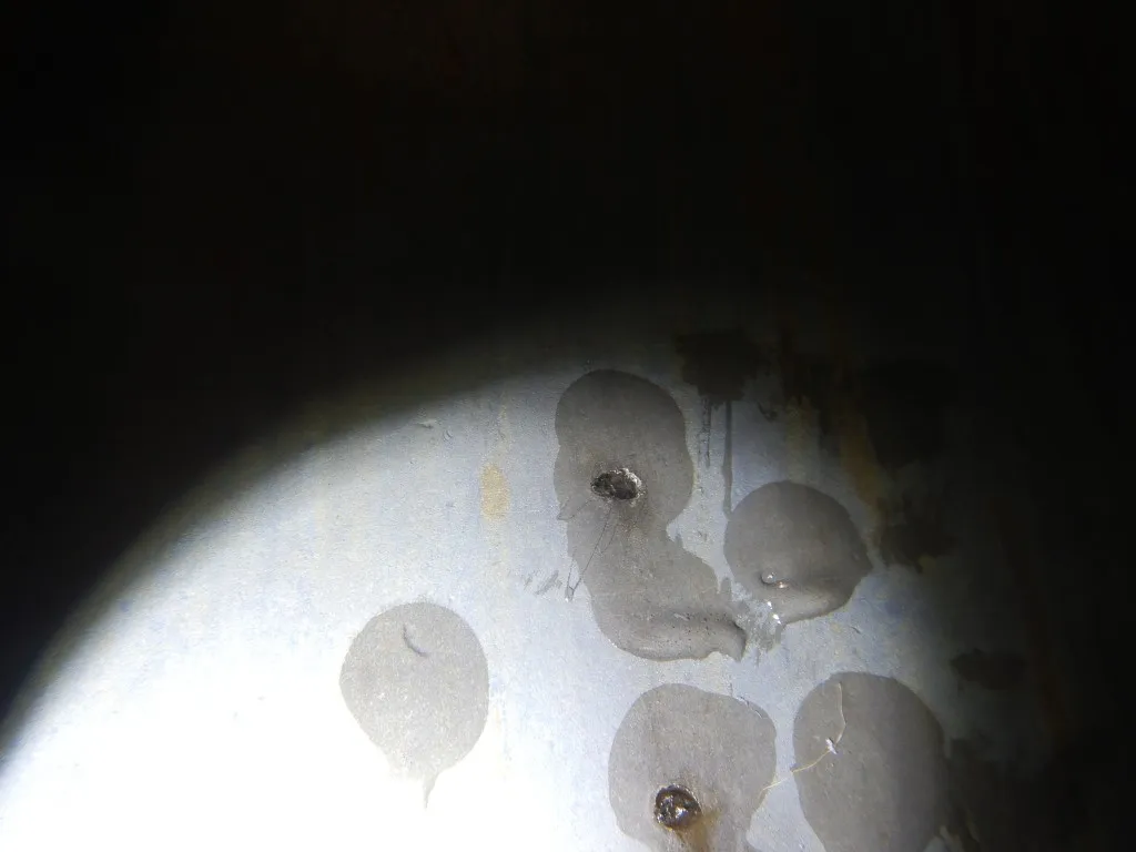 DSCN1010.webp