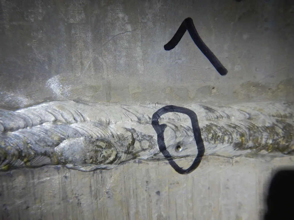 DSCN1074.webp