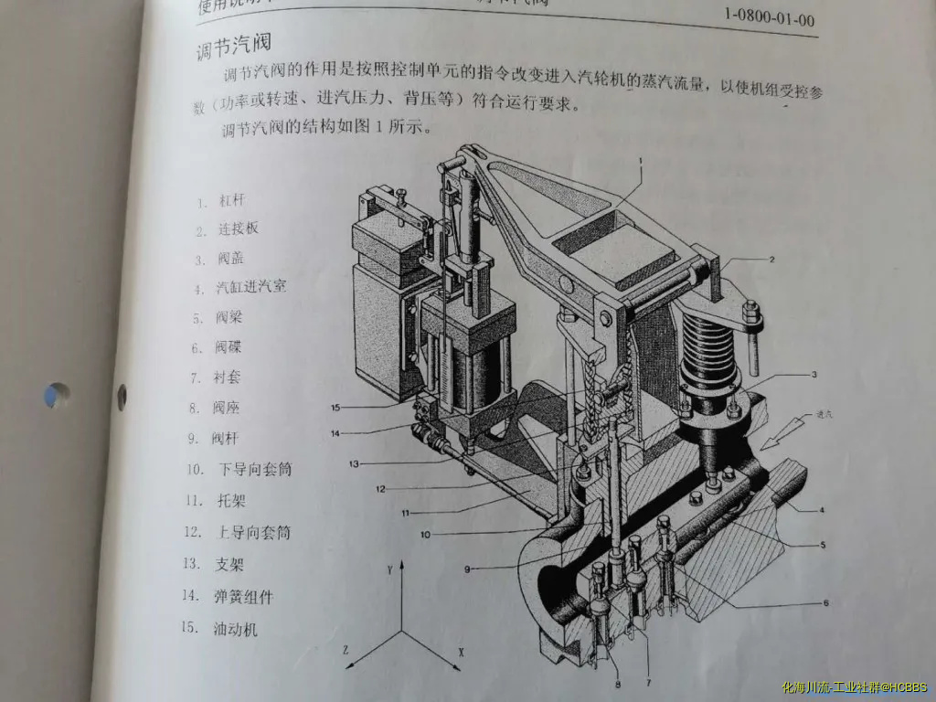 d52d189695182455a688531e5d66940.webp