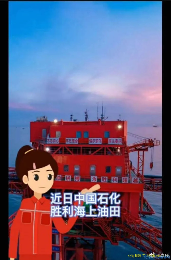 中石化胜利海上油田.webp