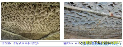 2050bc541636815d7a33053885cc283.webp