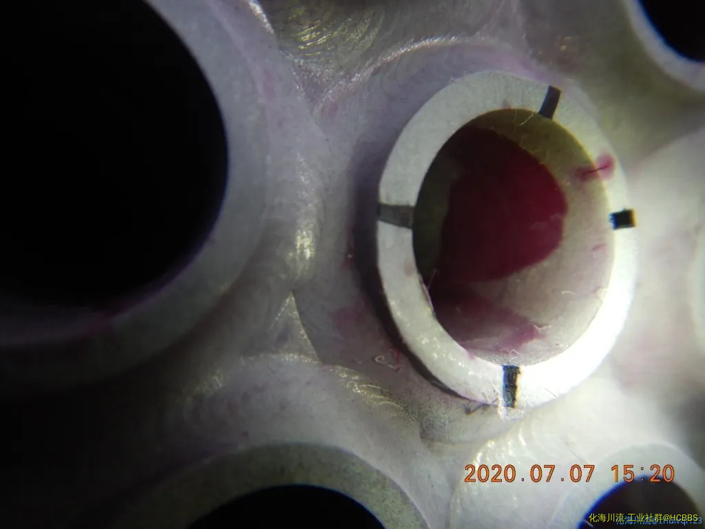 DSCN9496.webp