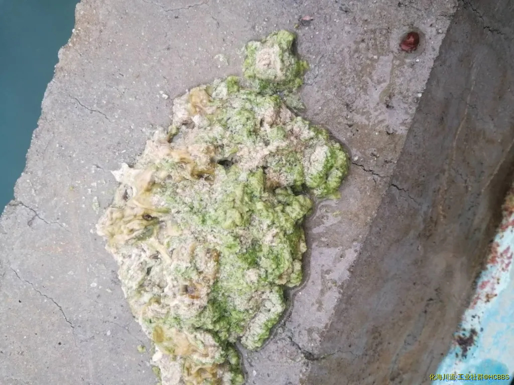 用手抓上来的水沟.webp