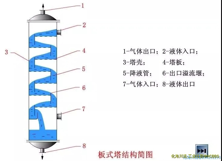 板式塔结构简图.webp