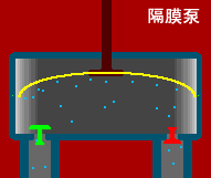 隔膜泵动画视频.gif