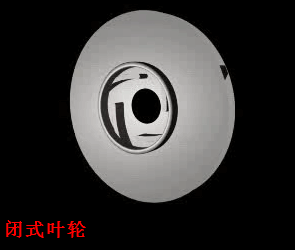 闭式叶轮.gif
