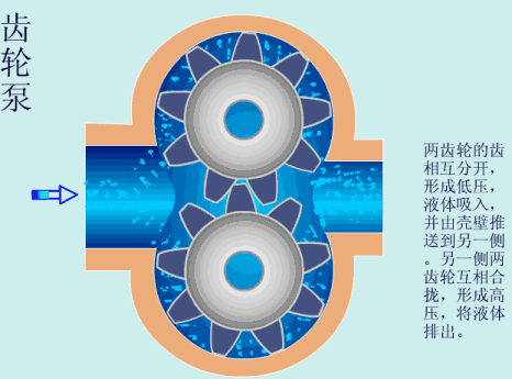 齿轮泵工作原理.gif